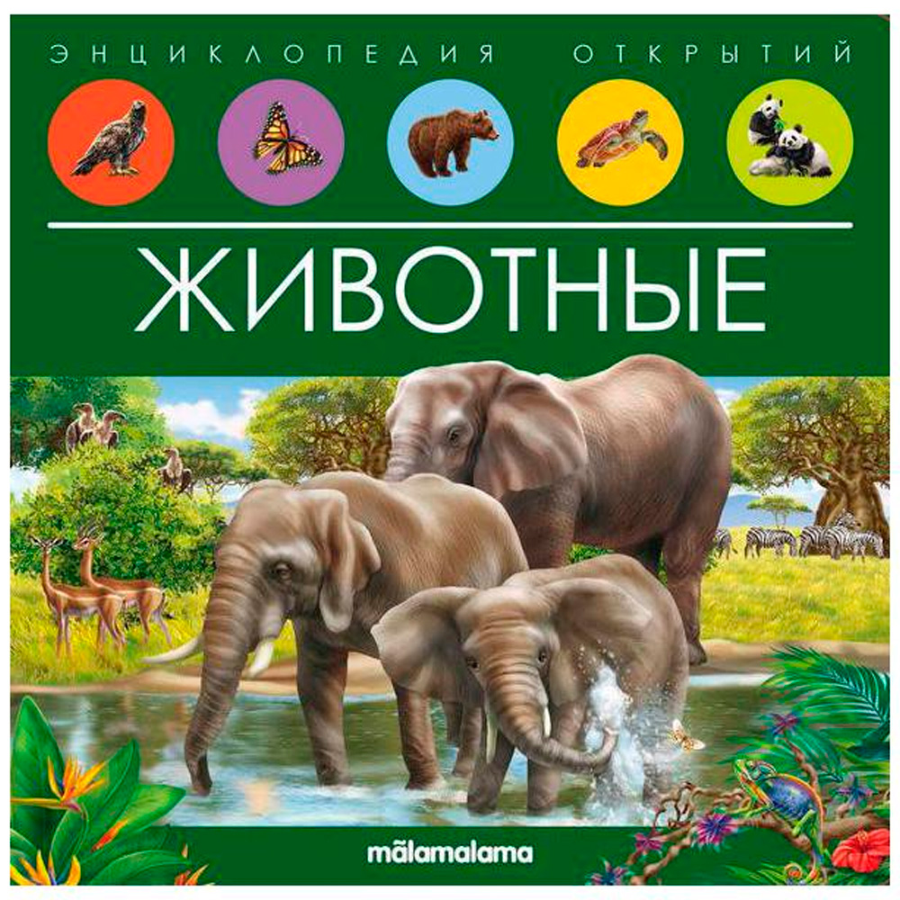 Книга 9785001347965 Энциклопедия открытий. Животные