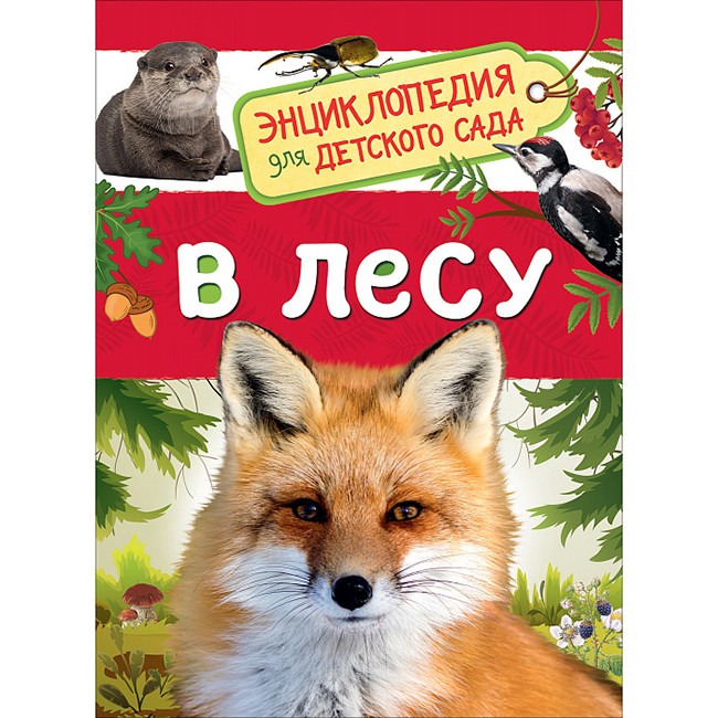 Книга 978-5-353-09061-8 В лесу.Энциклопедия для детского сада