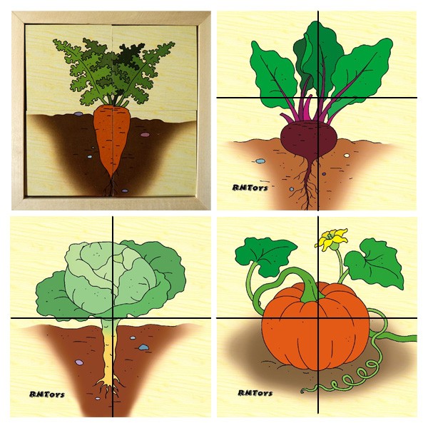 Деревянные овощи (карт.разр.) (RNToys) Д-601