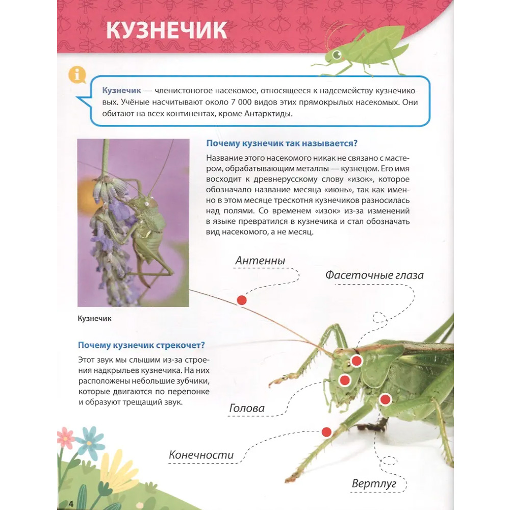 Книга 978-5-378-32124-7 Первая детская энциклопедия. Все о насекомых малышам Книга 978-5-378-32124-7 Первая детская энциклопедия. Все о насекомых малышам